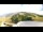 Webcam in Santa Caterina Valvurva, 6.9 mi away