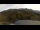 Webcam in Santa Caterina Valvurva, 0.4 mi away