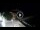 Webcam in Playa de Santiago (La Gomera), 37.2 mi away