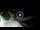Webcam in Playa de Santiago (La Gomera), 114.2 km