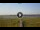 Webcam in Lower Zambezi National Park, 1601.4 km