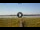 Webcam in Lower Zambezi National Park, 1370.4 km