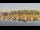 Webcam in Barßel, 18.6 km