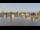 Webcam in Barßel, 23.4 mi away