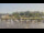 Webcam in Barßel, 32.2 km
