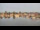 Webcam in Barßel, 12.7 mi away