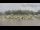 Webcam in Barßel, 10.1 mi away
