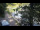 Webcam in Teufen, 22.5 km