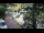 Webcam in Teufen, 7.9 km