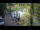 Webcam in Teufen, 5.7 mi away