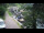 Webcam in Teufen, 13 km