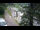 Webcam in Teufen, 8.6 km