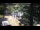 Webcam in Teufen, 13.2 km entfernt