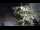 Webcam in Teufen, 7.4 km