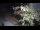 Webcam in Teufen, 8.6 km