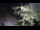 Webcam in Teufen, 22.9 km