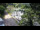 Webcam in Teufen, 11.1 km