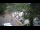 Webcam in Teufen, 7.4 km
