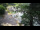 Webcam in Teufen, 11.1 km