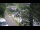 Webcam in Teufen, 3 mi away