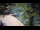 Webcam in Teufen, 10.2 mi away