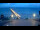 Webcam in Scharbeutz, 0.6 km entfernt