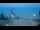 Webcam in Scharbeutz, 8.1 km
