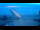 Webcam in Scharbeutz, 15.6 km entfernt
