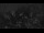 Webcam in Melle, 10.4 mi away