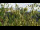 Webcam in Melle, 10.4 mi away
