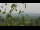 Webcam in Melle, 7.9 mi away