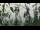 Webcam in Melle, 24.4 km entfernt