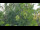 Webcam in Melle, 13.3 mi away