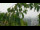 Webcam in Melle, 23.8 km
