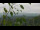Webcam in Melle, 9.4 mi away