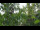 Webcam in Melle, 26.9 km entfernt