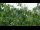 Webcam in Melle, 7.2 mi away