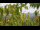 Webcam in Melle, 9.4 mi away
