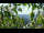 Webcam in Melle, 12.2 mi away