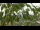 Webcam in Melle, 9.2 mi away