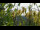 Webcam in Melle, 10.4 mi away