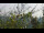 Webcam in Melle, 24.4 km