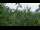 Webcam in Melle, 12.1 mi away
