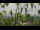 Webcam in Melle, 7.2 mi away