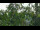 Webcam in Melle, 20.4 km