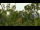 Webcam in Melle, 9.4 mi away