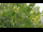 Webcam in Melle, 24.4 km