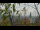 Webcam in Melle, 27.4 km entfernt
