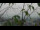 Webcam in Melle, 31.4 km entfernt