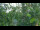 Webcam in Melle, 26.1 km